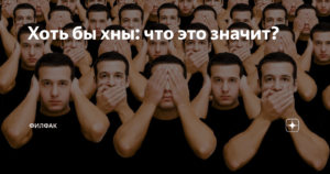 Разбираемся с выражением "хоть бы хны": Понимаем его значение