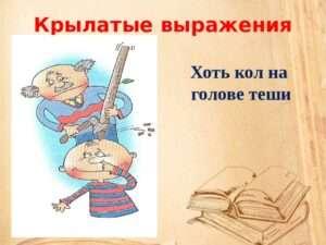 Разбираемся с выражением "хоть кол на голове теши": Понимаем его значение