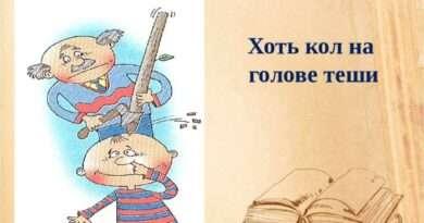 Разбираемся с выражением "хоть кол на голове теши": Понимаем его значение. Смотреть фото Разбираемся с выражением "хоть кол на голове теши": Понимаем его значение. Смотреть картинку Разбираемся с выражением "хоть кол на голове теши": Понимаем его значение. Картинка про Разбираемся с выражением "хоть кол на голове теши": Понимаем его значение. Фото Разбираемся с выражением "хоть кол на голове теши": Понимаем его значение